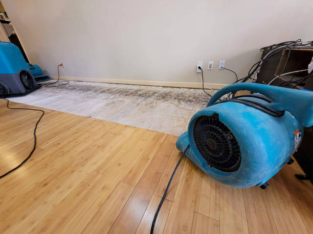 Professional Basement Flood Cleanup technician working in Loris, SC
